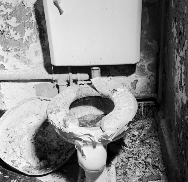 Toilet Bowl Toilet Bowl