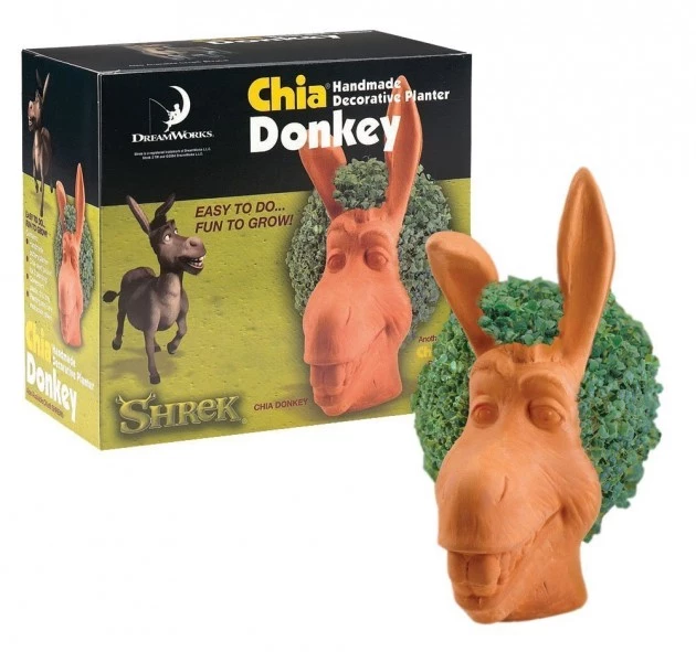 Chia donkey Chia donkey
