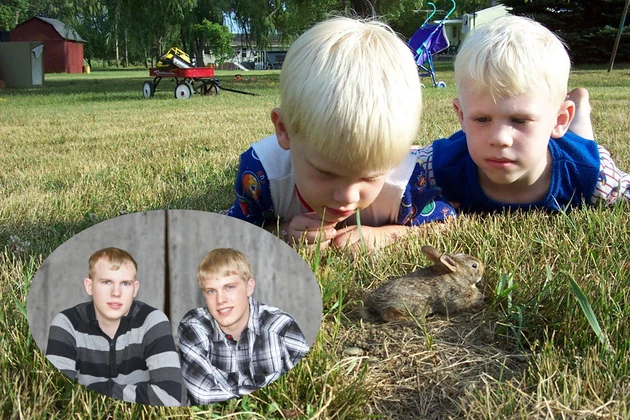 Nicholas & David McIntyre