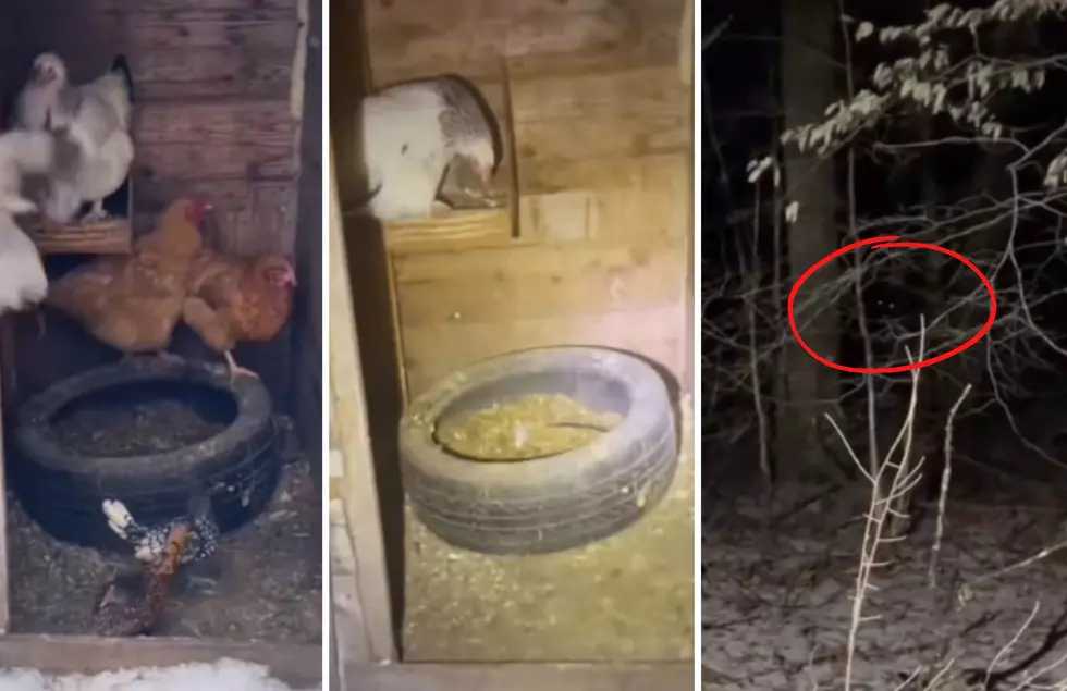 Is A Michigan Yooper Doing A Gift Exchange With Bigfoot?