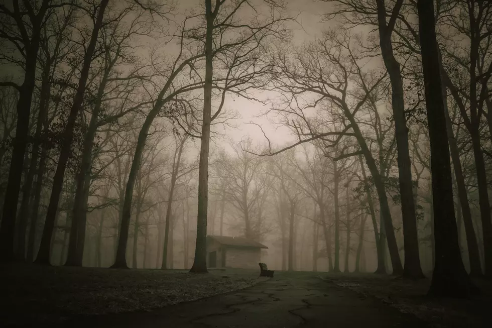 10 Myths About Michigan That Even Some Residents Believe