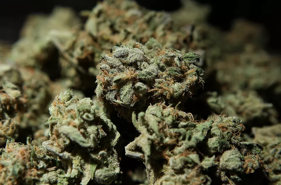 18 People Develop Health Issues In Michigan’s Largest Cannabis Recall