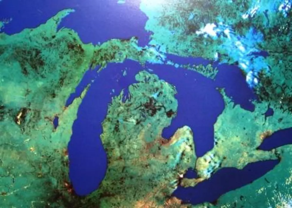 For-Mar Nature Preserve and Arboretum Presents ‘Made in Michigan’