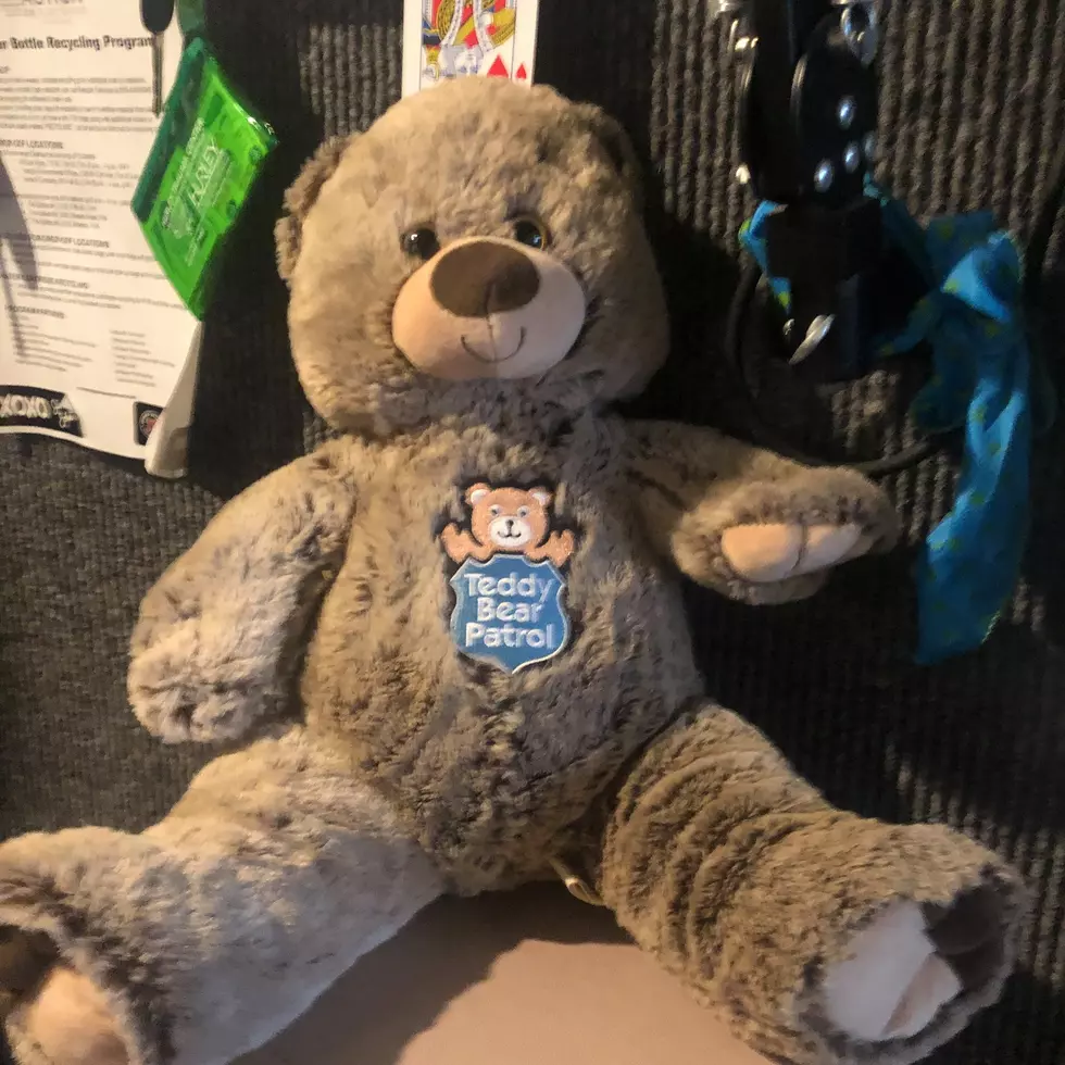 LOCAL SPOTLIGHT: Grand Blanc Chamber of Commerce Teddy Bear Ball