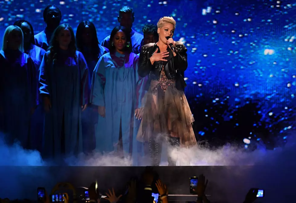 Pink Donates a Half Million Dollars to Australian Wildfire Relief