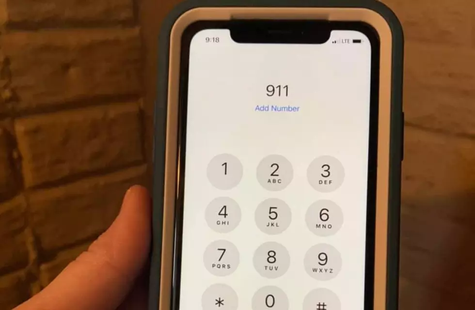 Michigan State Police: Don’t Call 911 To Report ‘Stay Home, Stay Safe’ Violations