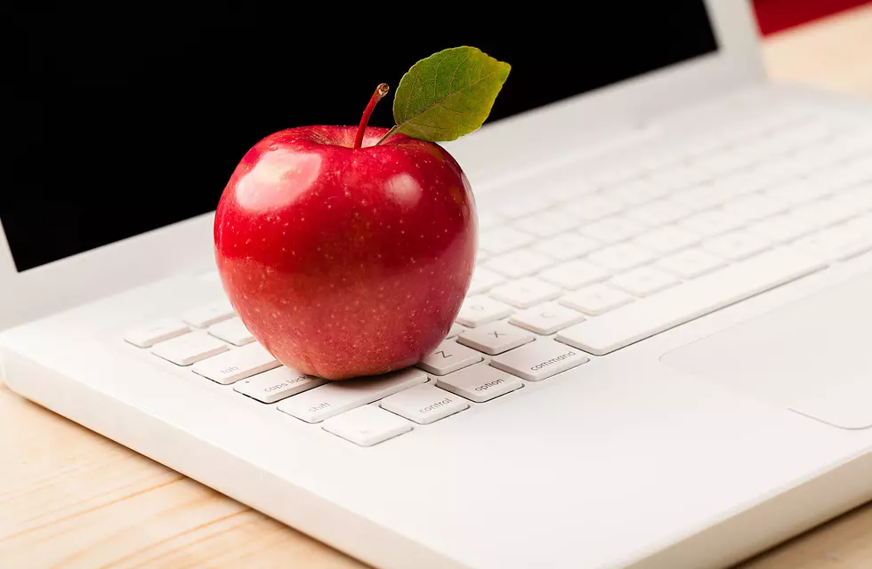 Celebrate Teacher Appreciation Week with These Michigan Deals