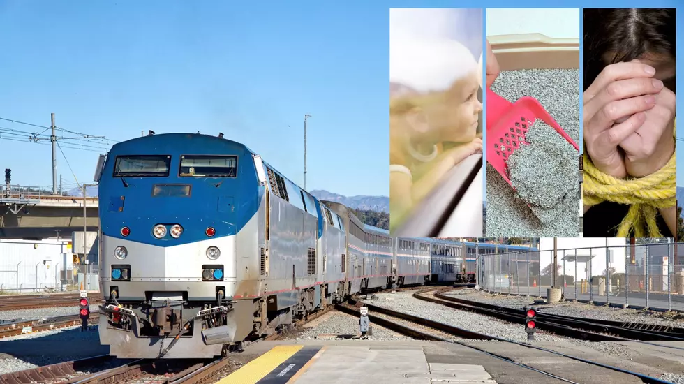 You’re Not A “Hostage:” 29 HR Amtrak Delay Worse Than Michigan’s