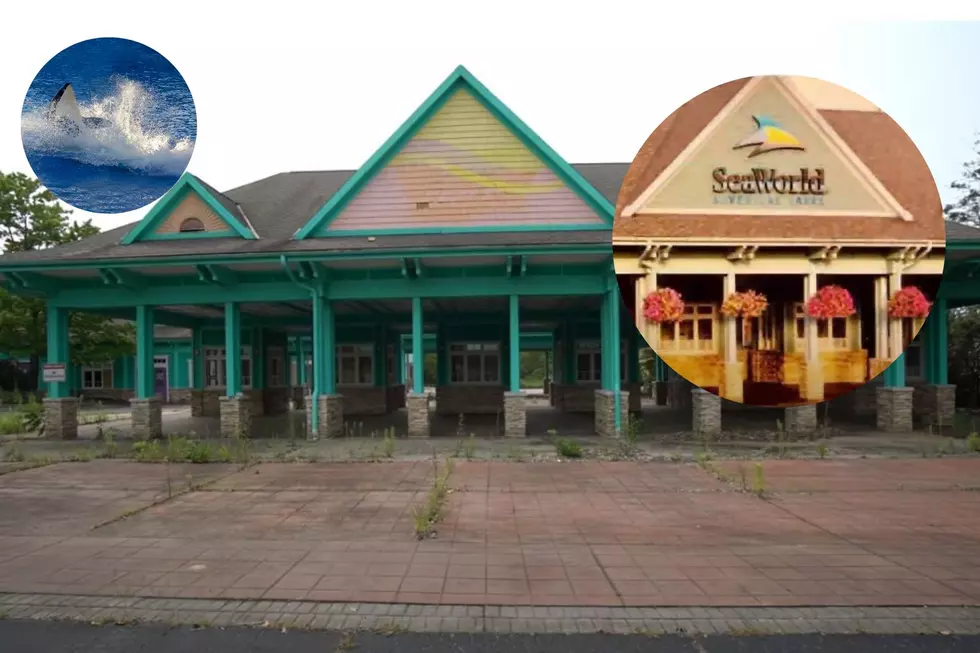 Sad Look at Decaying Remnants of Former SeaWorld of Ohio
