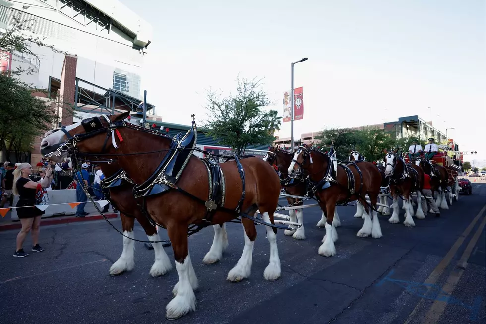 Here’s Your Chance to ‘Meet’ a Legendary Budweiser Clydesdale in Burton