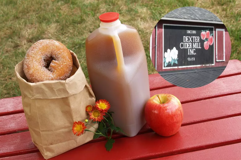 Timeless Charm: Dexter’s 138-Year-Old Cider Mill is Michigan’s Oldest