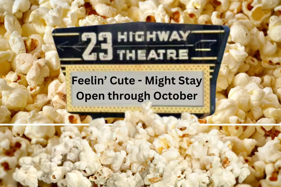 Summer’s End Means Last Chance to See a Flick at Flint’s US-23 Drive-In Theater