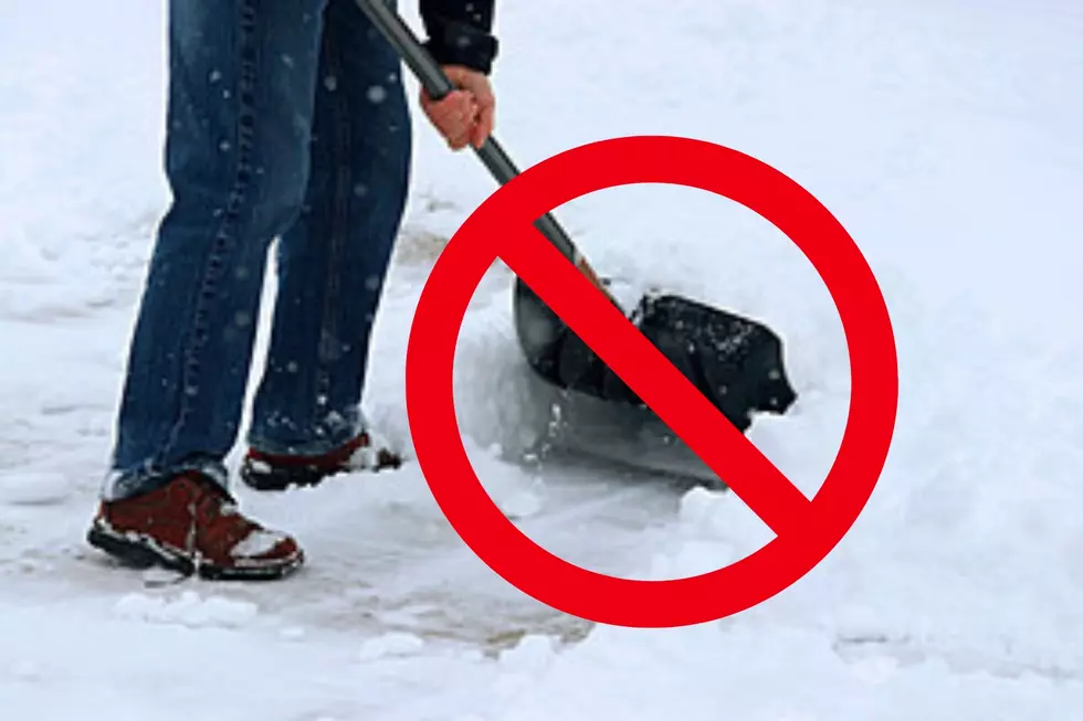 Hey Michigan: Six Creative Ways to Remove Snow Without Shoveling