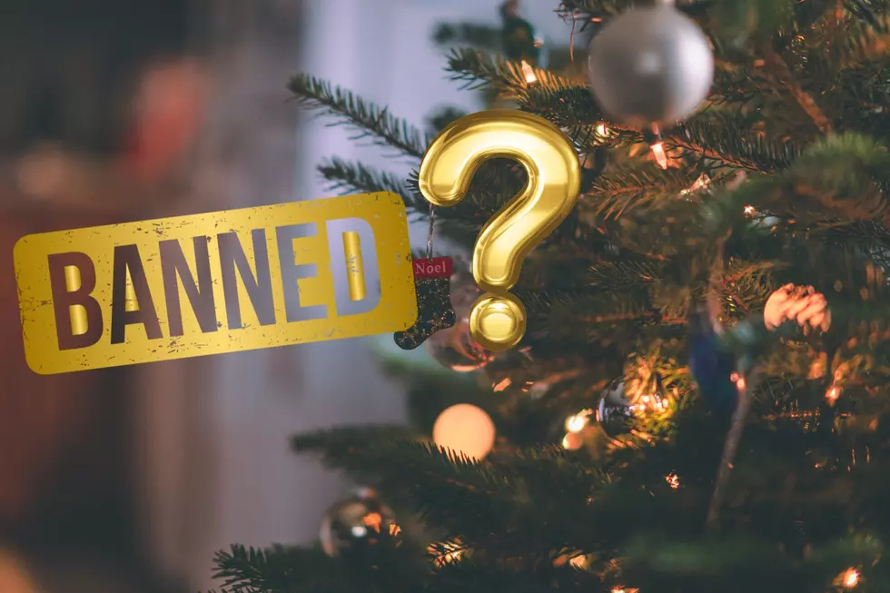 Relax, Michigan – These Popular Christmas Decorations Have Not Been Outlawed