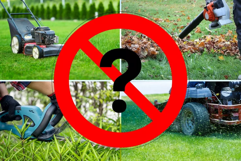One Michigan City is Making Popular Gas-Powered Leaf Blowers Illegal