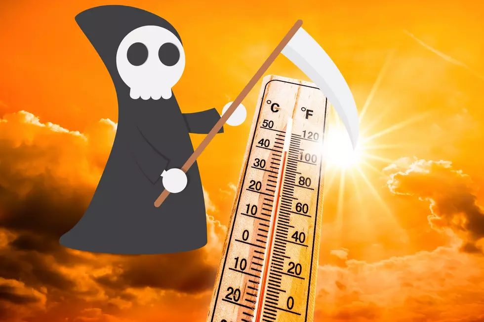 As Temps Soar in Michigan, Study Says Heat-Related Deaths on Rise