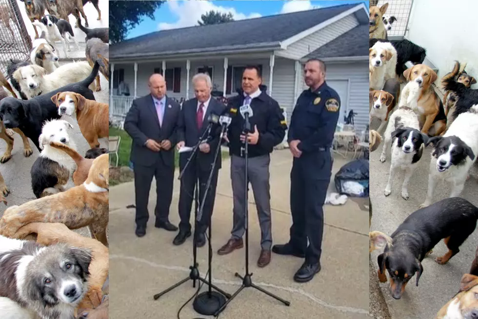 More Than a Dozen Dogs Found Dead in Burton Home, 44 Alive in Cages