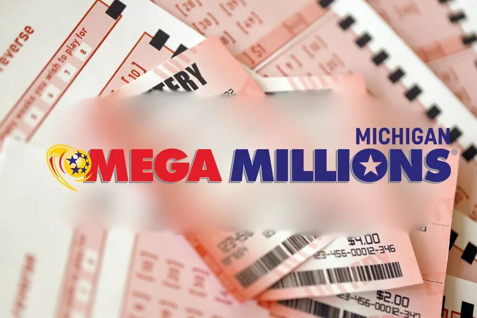 2025’s First Millionaire: Michigan Lottery Player Wins Mega Millions