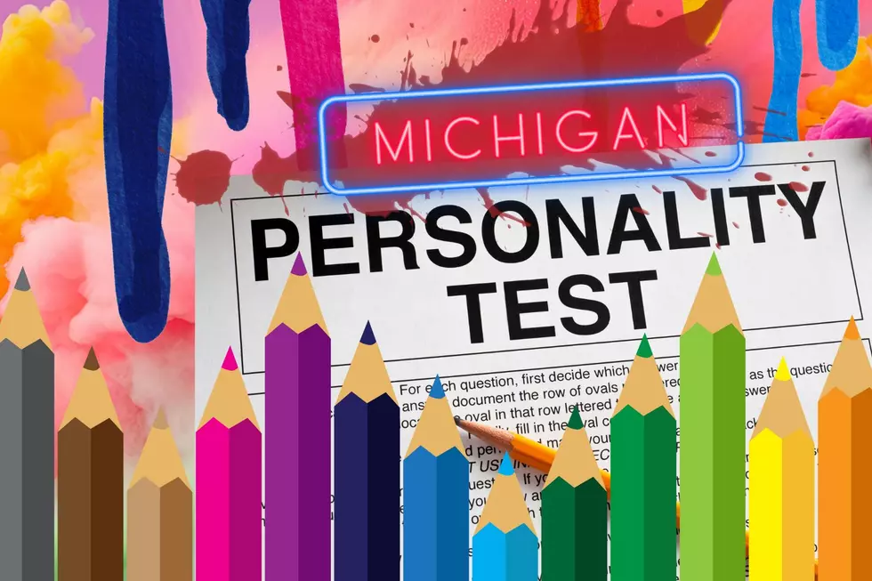 Can a Michigander’s Favorite Color Reveal Their True Personality?