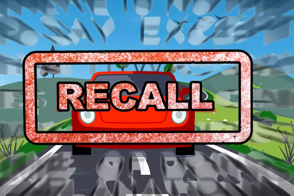 Recalls From Tesla and Michigan Auto Maker: Was Your Car Recalled?