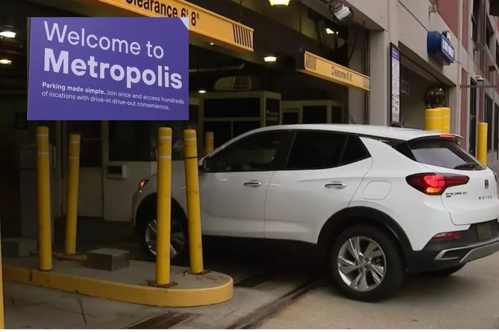 Tigers Fan Furious After Being Gouged For Opening Day Parking