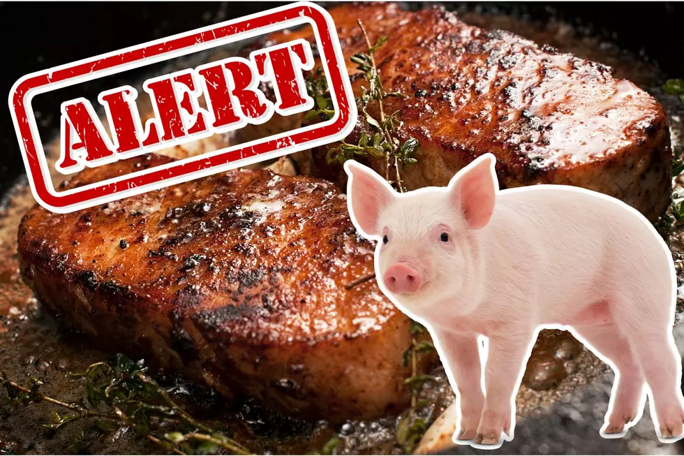Warning: Recall Issues Health Alert for Pork Products Sold in Michigan