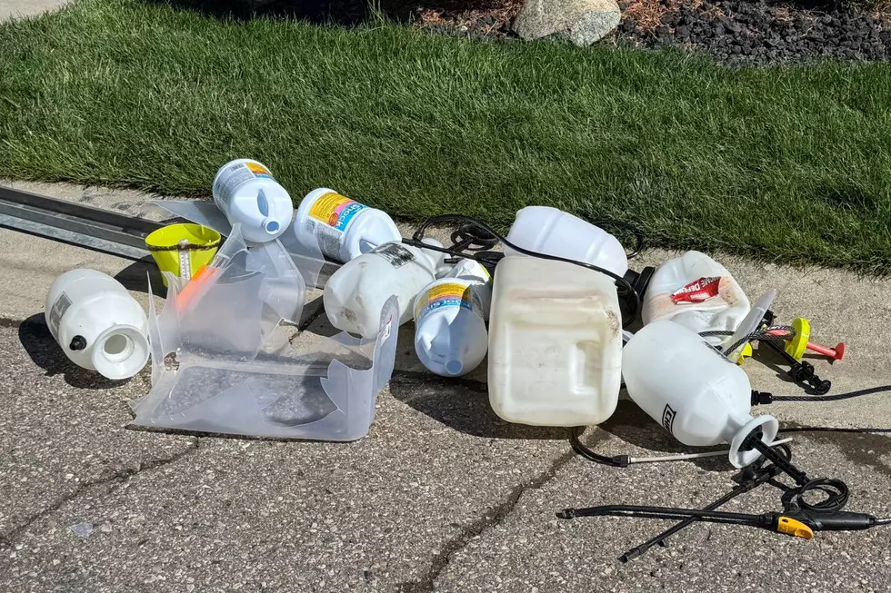 Burton Neighborhood Terrorized By Mystery Michigander