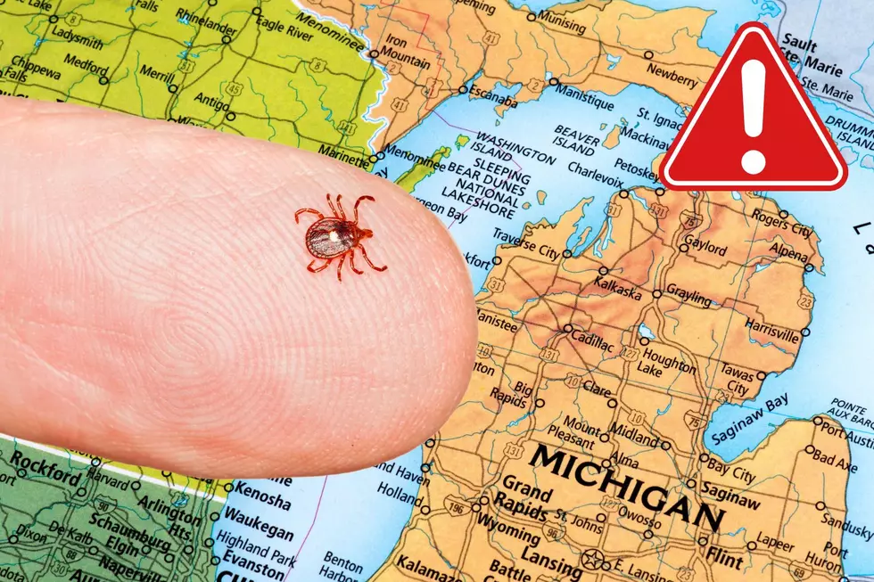 WARNING: Michigan Disease Has Spiked 168% – What You Can Do?