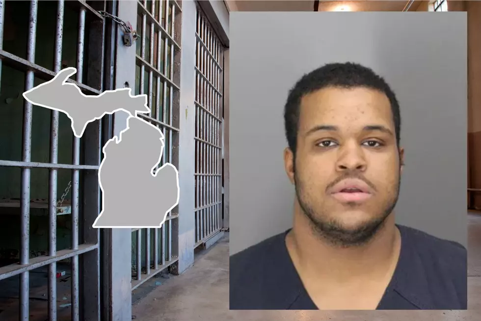 Michigan 8-Year-Old Killed By Older Brother: You Won’t Believe Why