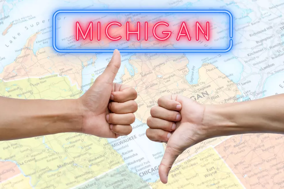 Should You Stay or Go? The Great Michigan Debate