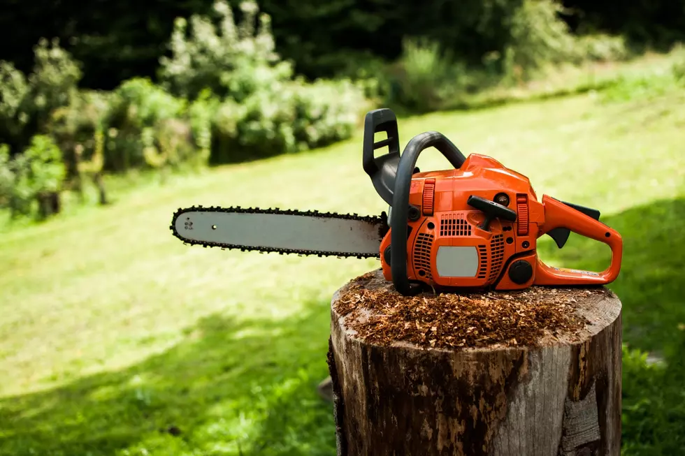 17-Year-Old Killed by Chainsaw in Tragic Michigan Accident
