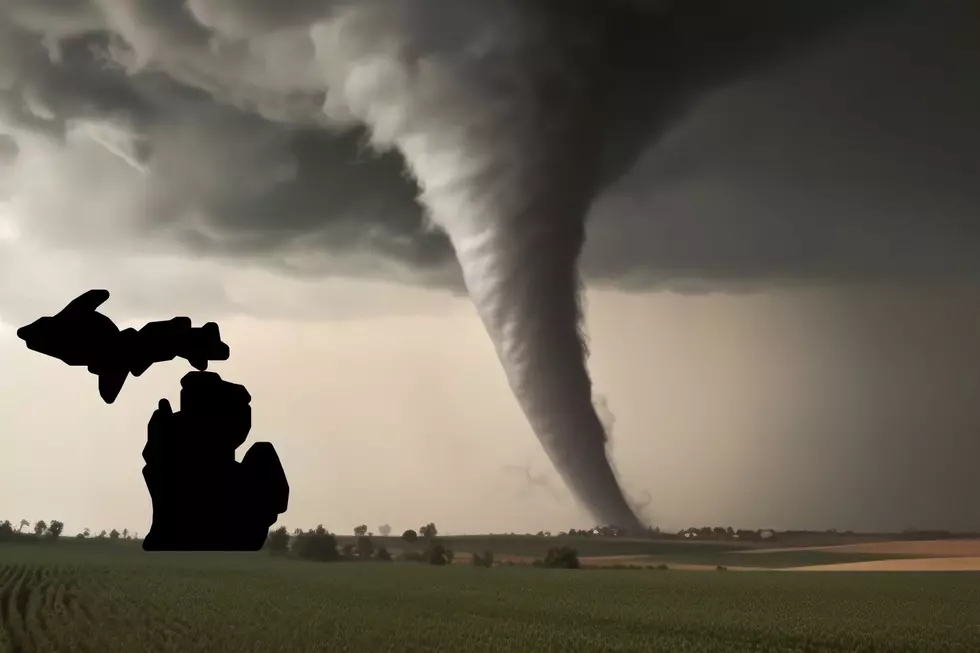 Michigan Could See Tornadoes, Severe Storms This Weekend