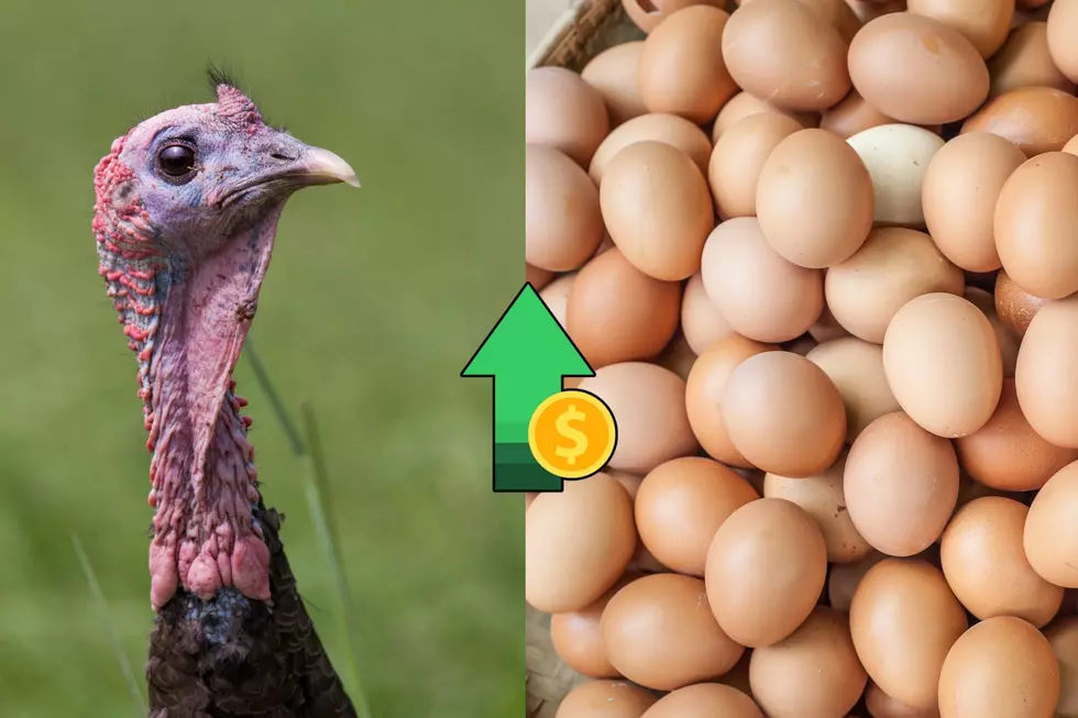 Why You Need to Get Your Thanksgiving Turkey Now