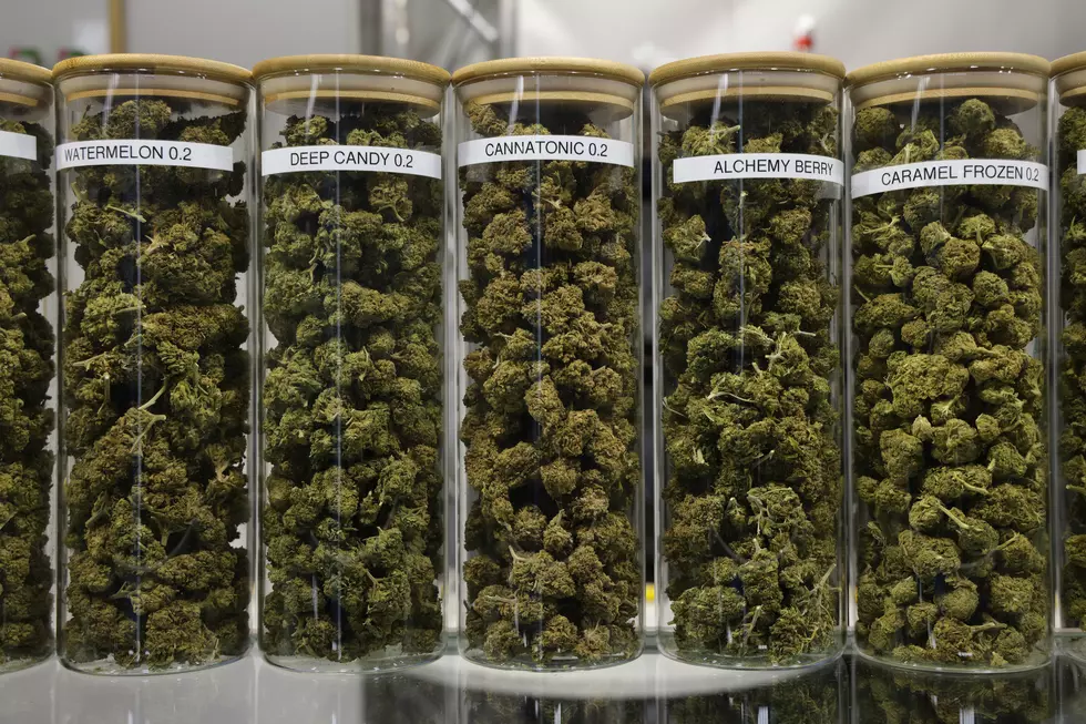 Michigan Wants Pot Shops to Snitch on Their Own Customers