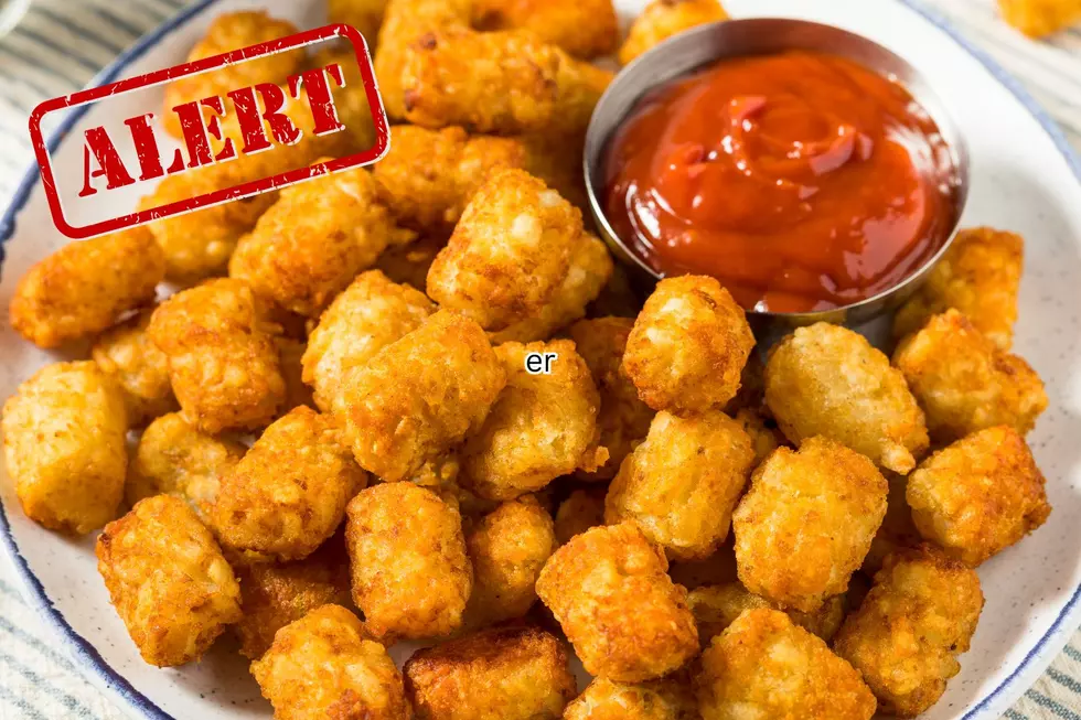 Tater Tots Recalled, What Michigan Families Need to Know