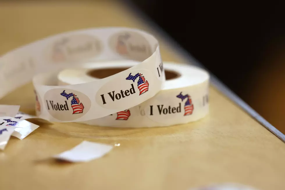 Michigan Pushes Back Against Federal Mail-In Voting Plan