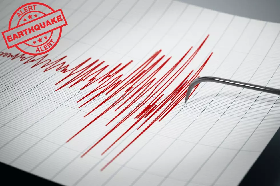 Did You Feel That? Michigan Earthquake Shakes Monroe County