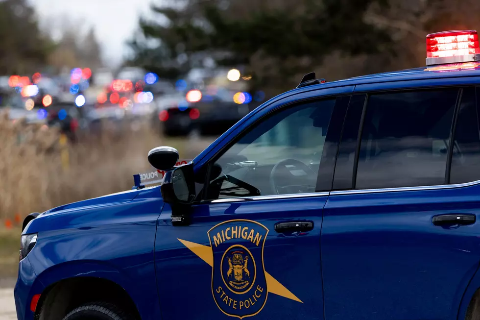 18-Year-Old Michigan Driver Killed in Lapeer County Crash